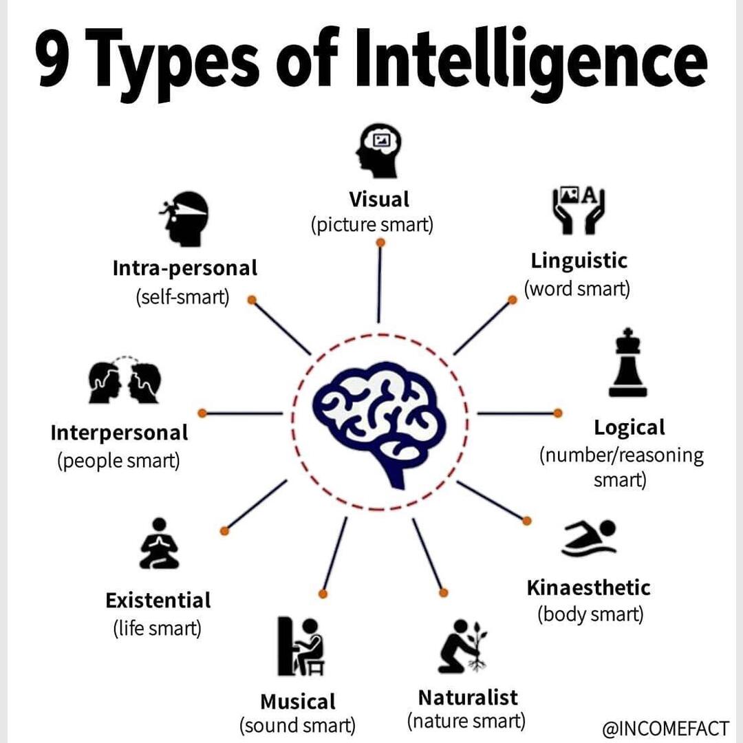 Intelligence comes in many forms