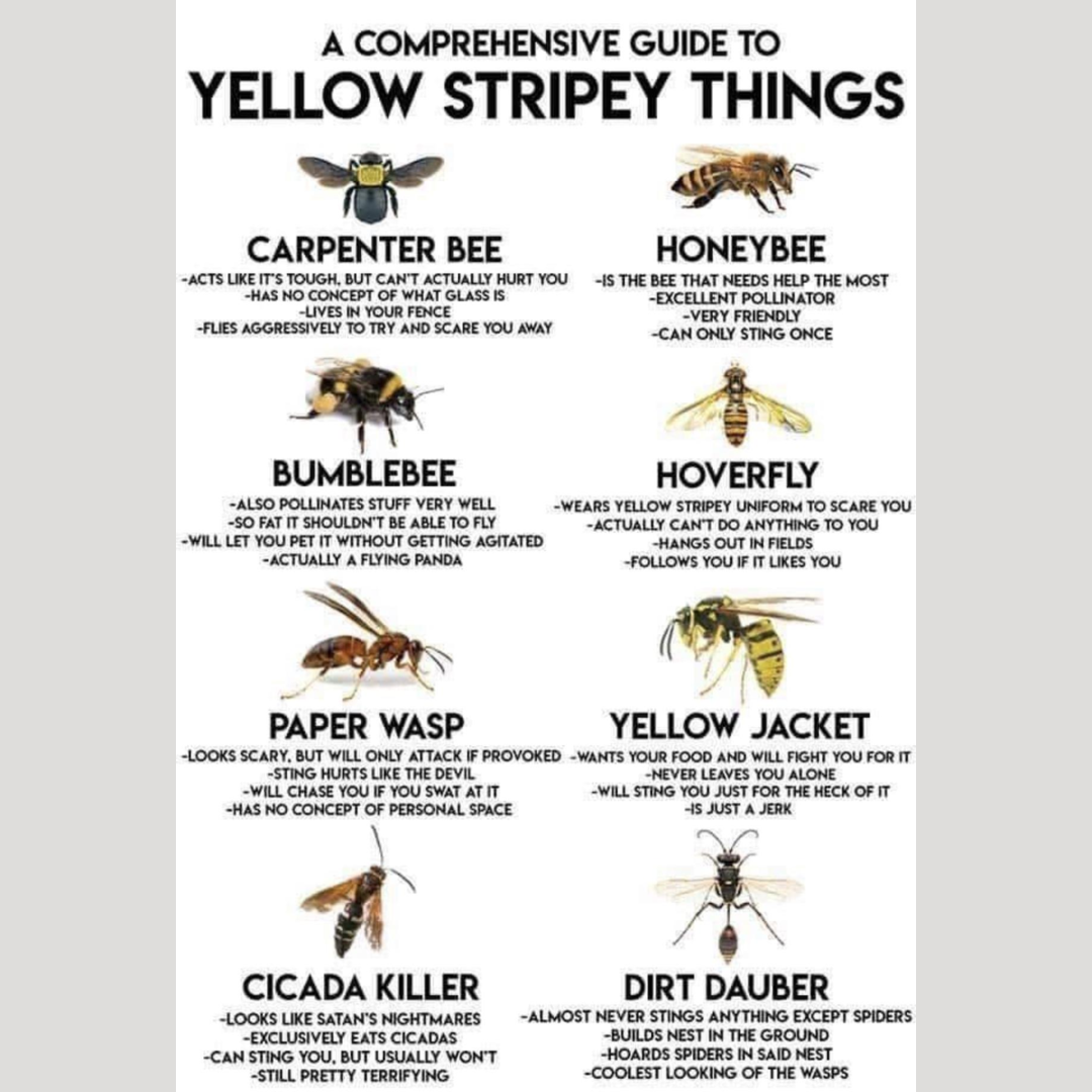 Yellow Stripey Things