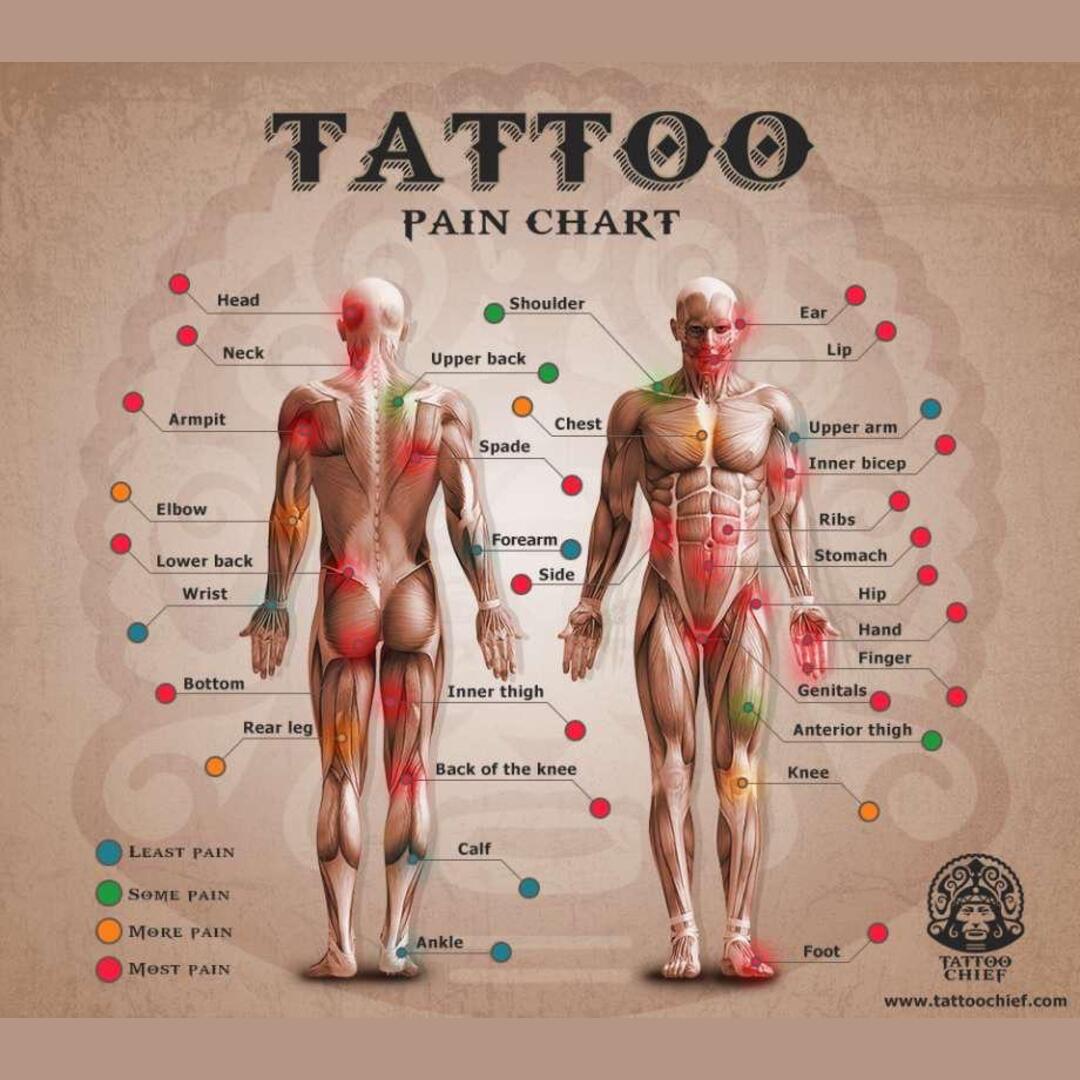 Tattoo Pain Chart