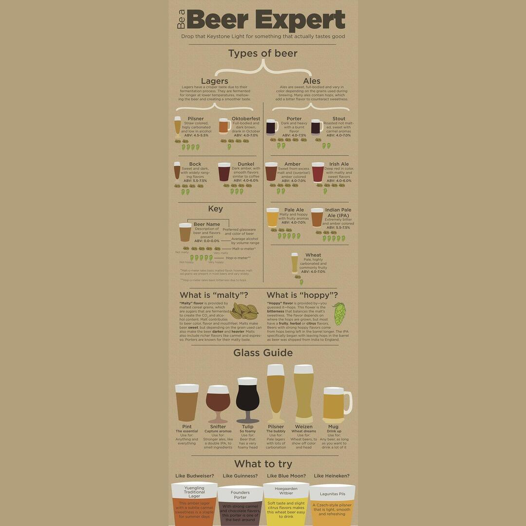 Be a beer expert