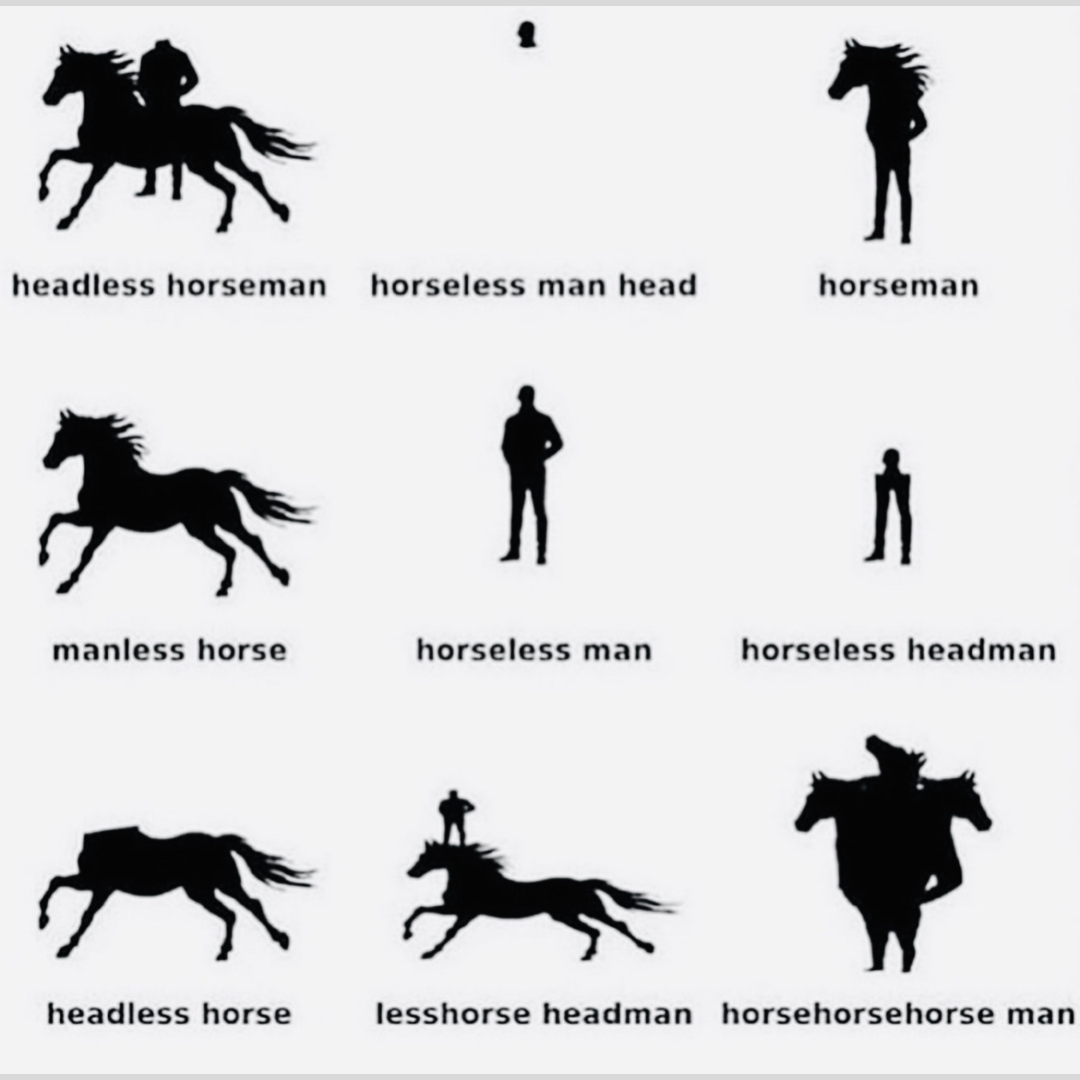 Horse guide