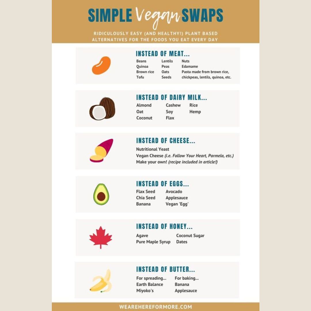 easy-tips-to-going-vegan-for-beginners