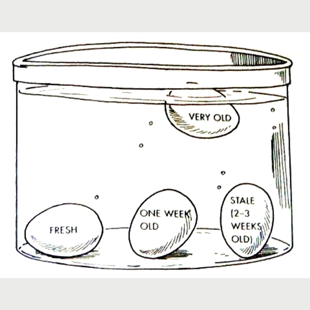 How to check the freshness of an egg