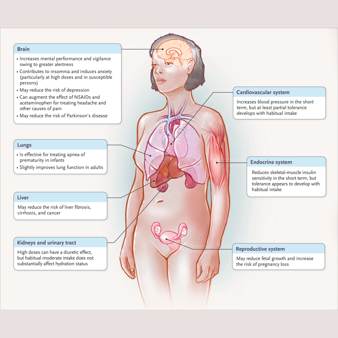 Pros and cons of caffeine