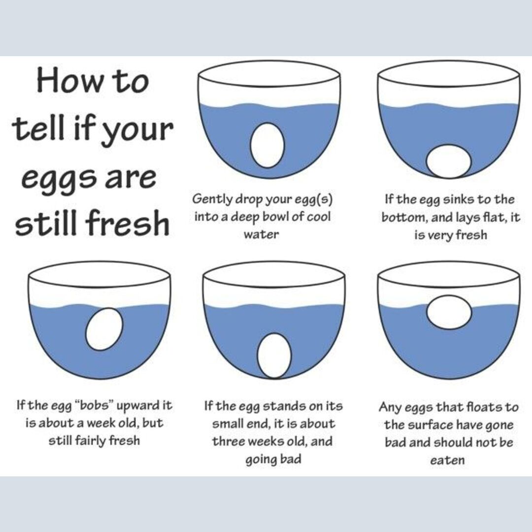 How to tell if egg is fresh