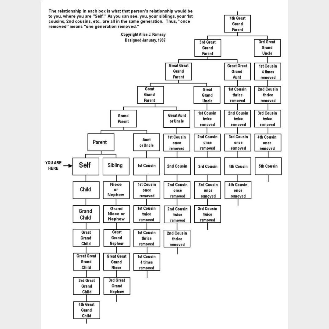 How Family trees work. I was trying to figure out what my cousin would be in relation to my daughter.