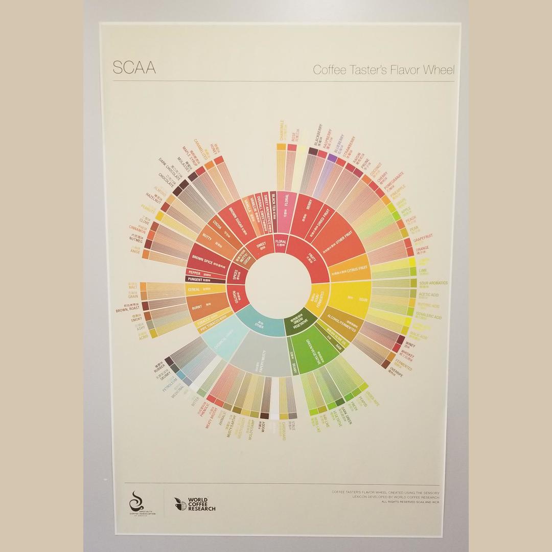 Coffee Taster s Flavor Wheel