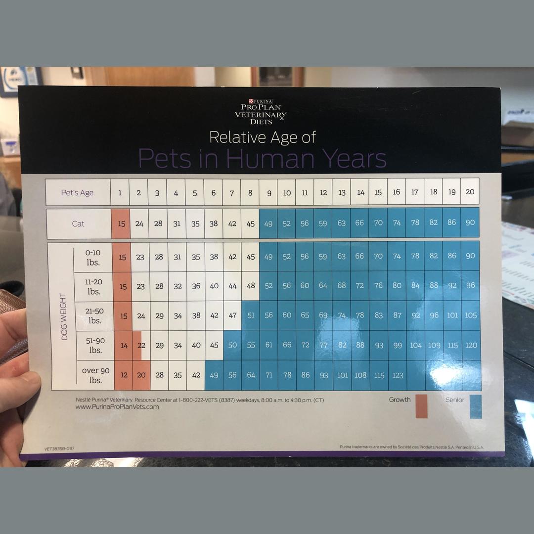 Relative Age of Pets in Human Years. Found on a trip to the vet