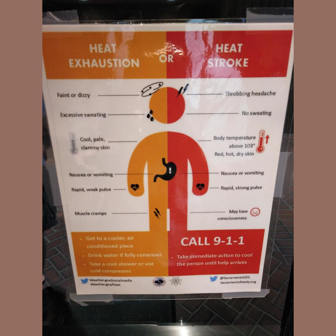 Found in a National park in South Carolina (US)