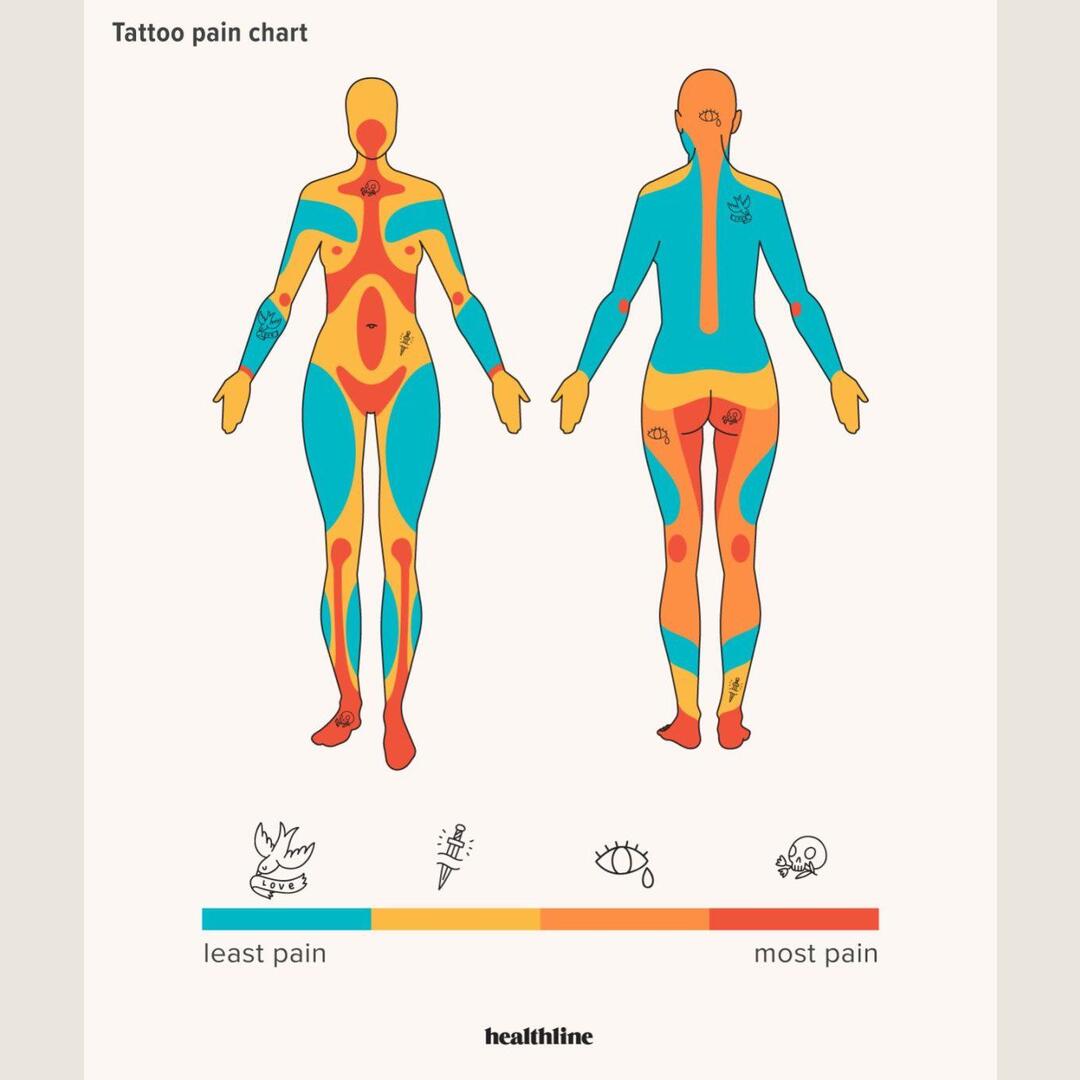 Tattoo Pain Chart