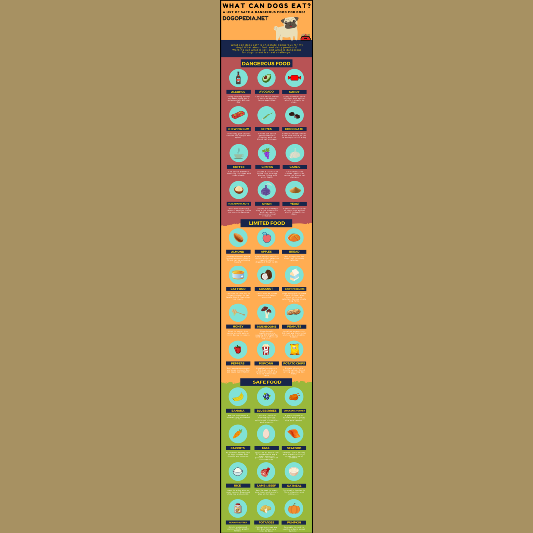 What dogs can/can t eat never seen this one before :)