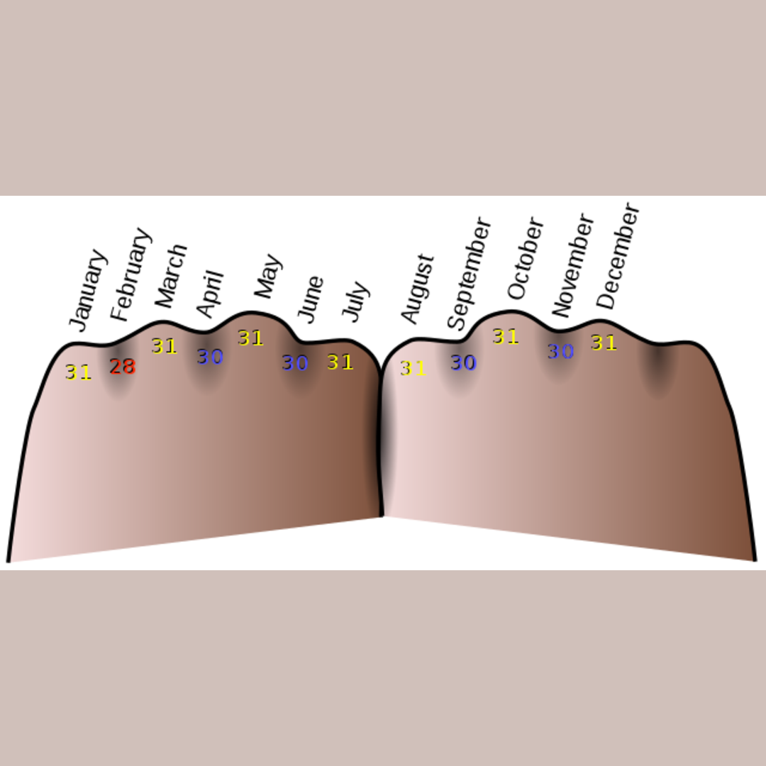 In the 1890s, traveler Henry Attwell found that the residents of rural Holland used their hands to recall which months of the year have 31 days
