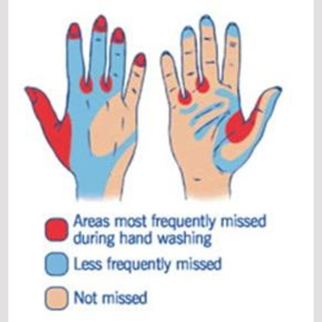 Wash your hands the right way, people!