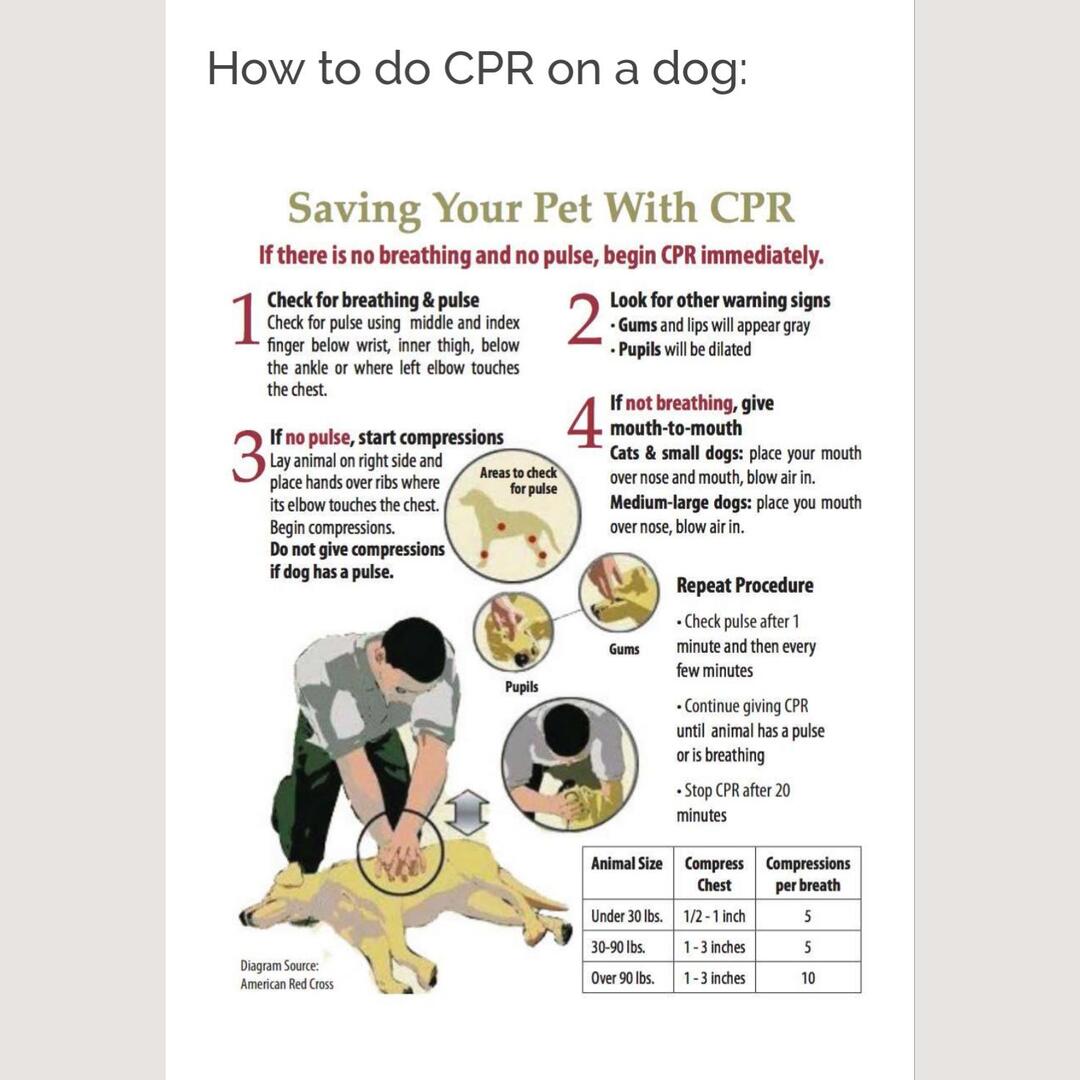 Hope y’all never need this