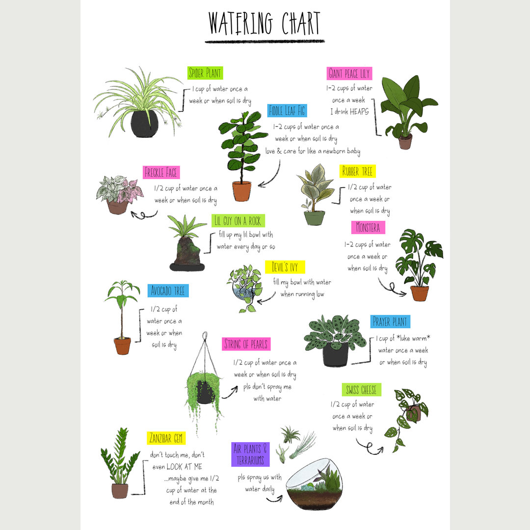I was told you guys might enjoy this chart I drew up for my mum! (x-post from r/houseplants)