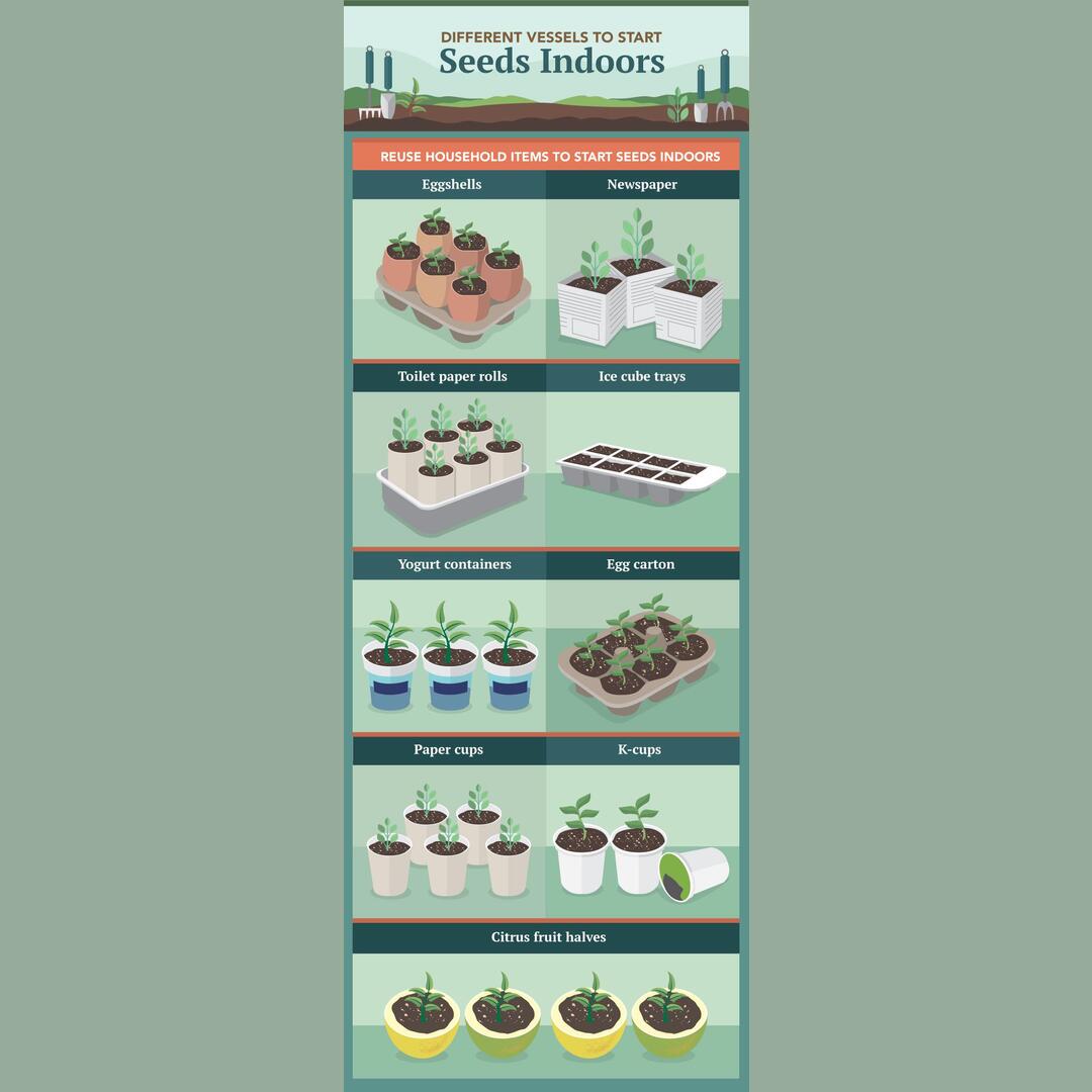 Reuse these common household items as vessels to start your seeds indoors