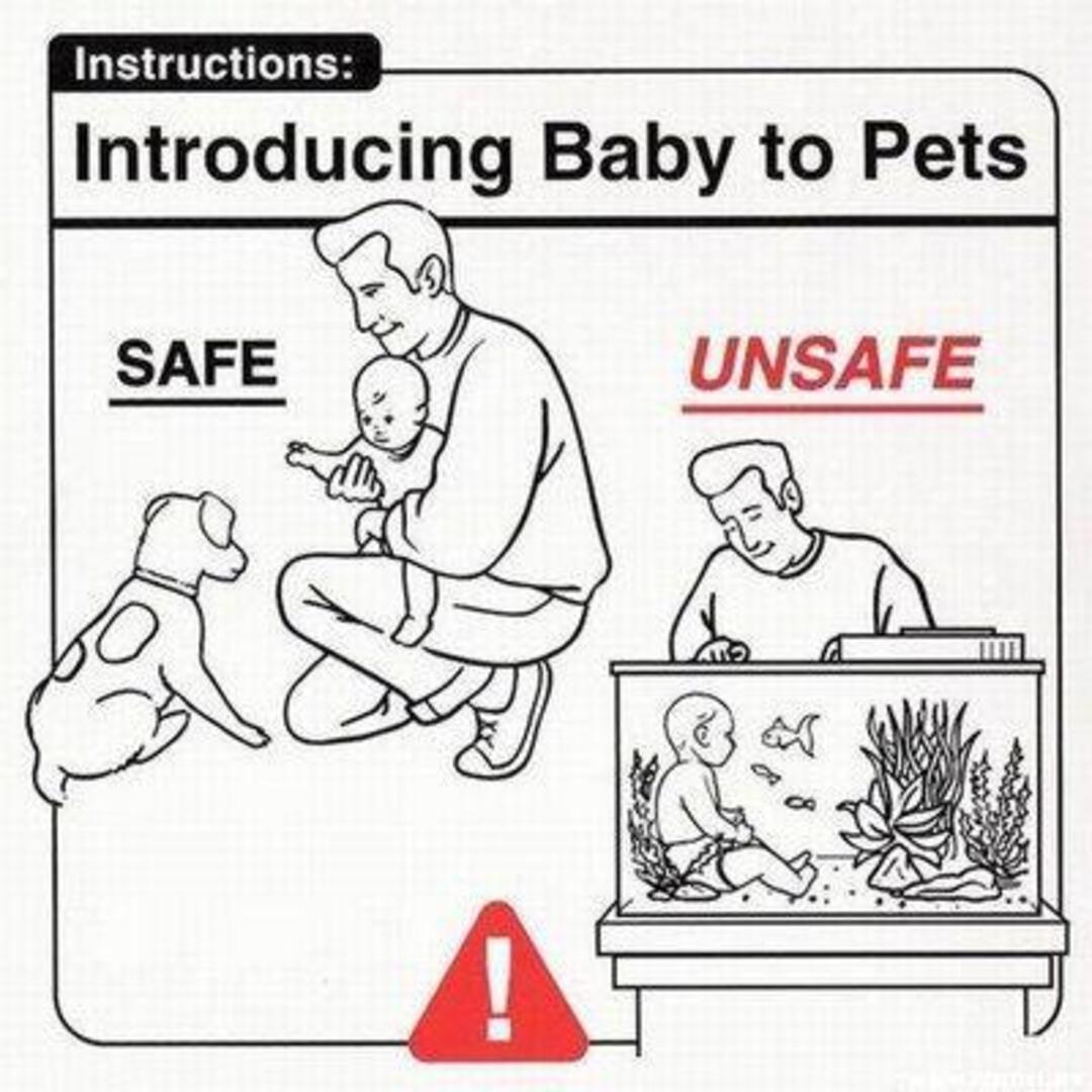 Learn how to take care of your baby!