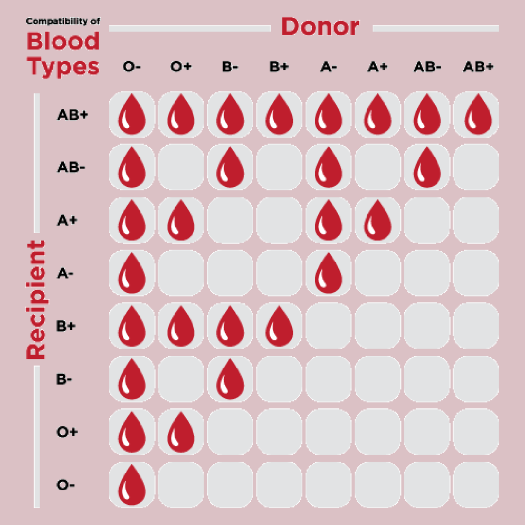 Blood type compatibility chart!